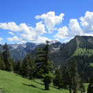 IMG_4978.JPG