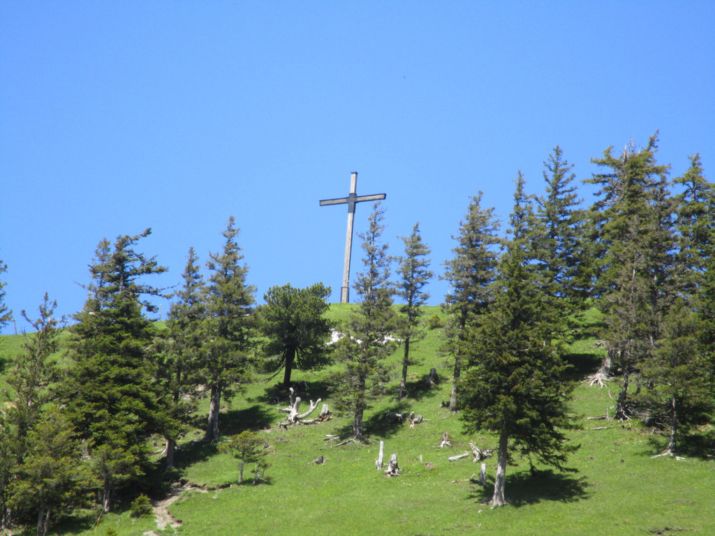IMG_4980.JPG