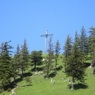 IMG_4980.JPG