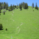 IMG_4981.JPG