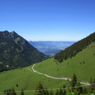 IMG_4982.JPG