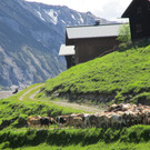 IMG_4985.JPG