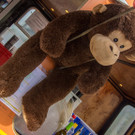 Donauinselfest Tag 3 - 26_06_2016-6.JPG