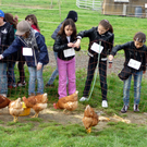 10_04_21 - Besuch am Bauernhof _20__JPG-1277130505