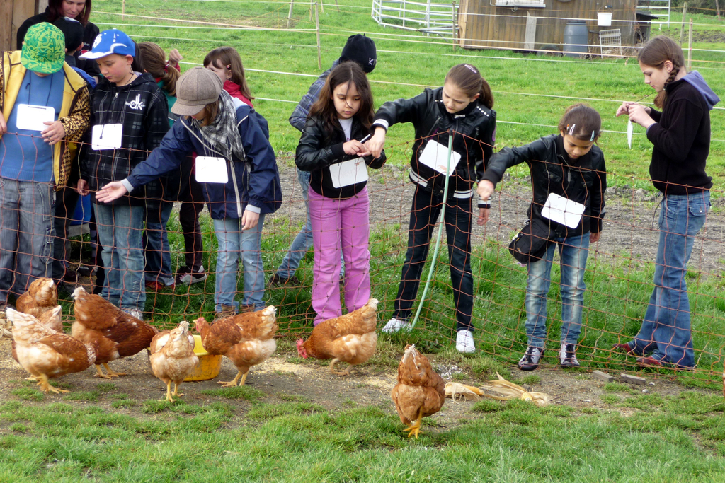 10_04_21 - Besuch am Bauernhof _20__JPG-1277130505
