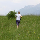 K640_Adlerfarn 5.JPG