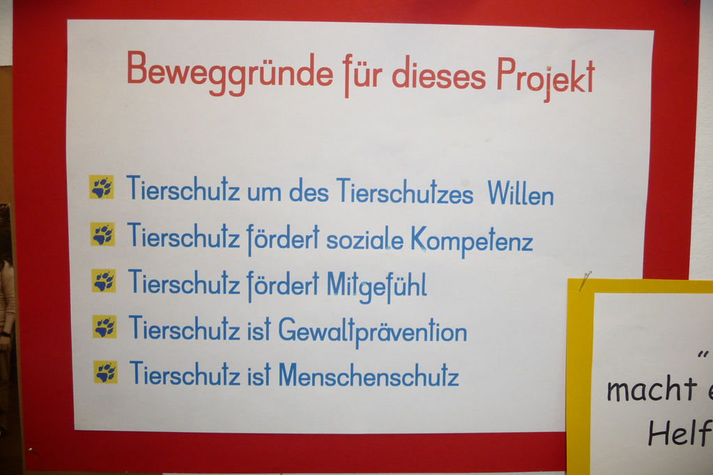 P1100182_JPG-1277130761