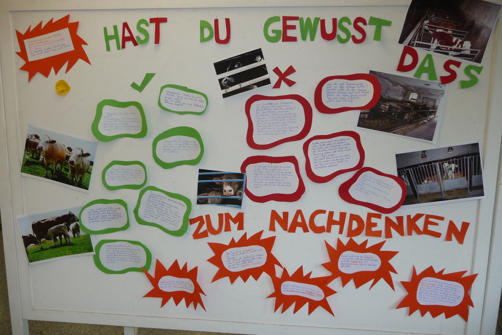P1100235_JPG-1277130913