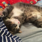 IMG-20160219-WA0011.jpg