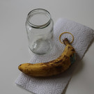 Experimente mit Insekten
