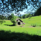 IMG_0392.JPG