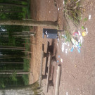 Wildpark  Feldkirch
