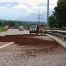 mulch.JPG