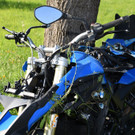 DSC_7486 Kopie.jpg