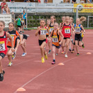 27921056895_Jolien 800m Start.jpg