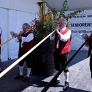 1_7_2016 Musikfest Wolfurt10.jpg