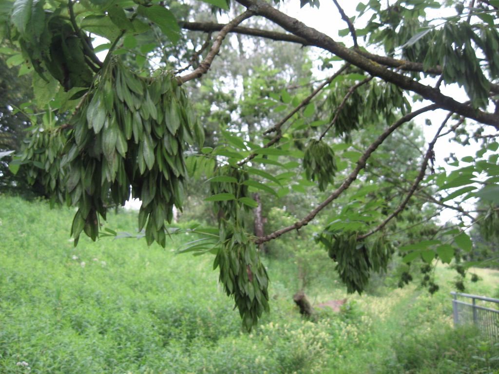 IMG_0489.jpg