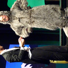 Pianist und Murmeltier 1.JPG