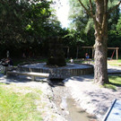 IMG_8480.jpg