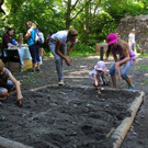 IMG_8490.jpg