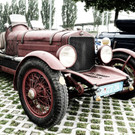 Oldtimer-Teff in Fußach