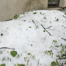 01_05072016_Schottwien _15_.jpg