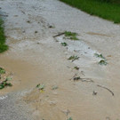 02_05072016_Otterthal _4_.jpg