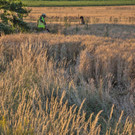 05072016_VU M__dring _11_.jpg