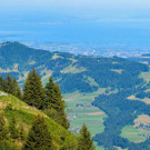 Panorama2_low.jpg