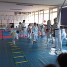 Die Kids vom Kenpokarate mal bei einem Konditionstraining der anderen Art.