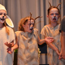 Musical Kinderchor Klostertal 2016 _62_.jpg