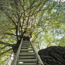 06072016_Tierrettung Pressbaum _1_.JPG