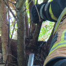 06072016_Tierrettung Pressbaum _2_.JPG