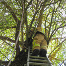 06072016_Tierrettung Pressbaum _3_.JPG