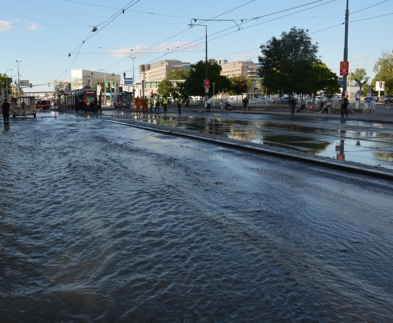 06072016_MA_68_Lichtbildstelle _2_.jpg