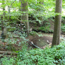 07072016_Tierrettung Wartmannstetten _2_.jpg