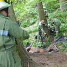 07072016_Tierrettung Wartmannstetten _8_.jpg