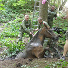 07072016_Tierrettung Wartmannstetten _12_.jpg