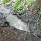 07072016_Tierrettung Wartmannstetten _15_.jpg