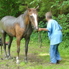 07072016_Tierrettung Wartmannstetten _18_.jpg