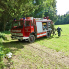 07072016_Tierrettung Wartmannstetten _20_.jpg