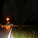 IMG_9461.JPG