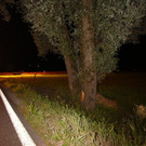 IMG_9468.JPG