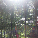 IMG-20160704-WA0022.jpg