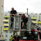 Bilder der Rettungaktion: Entenküken im Sonnwendviertel