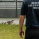 20160709_CL55752.jpg