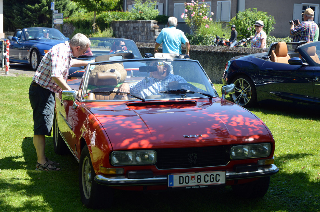 DSC_0294.JPG