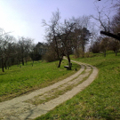 14Dehnepark.jpg