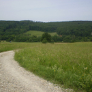 23-Eichwiese_Maurer_Wald.JPG