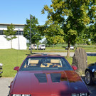 DSC_0031.JPG